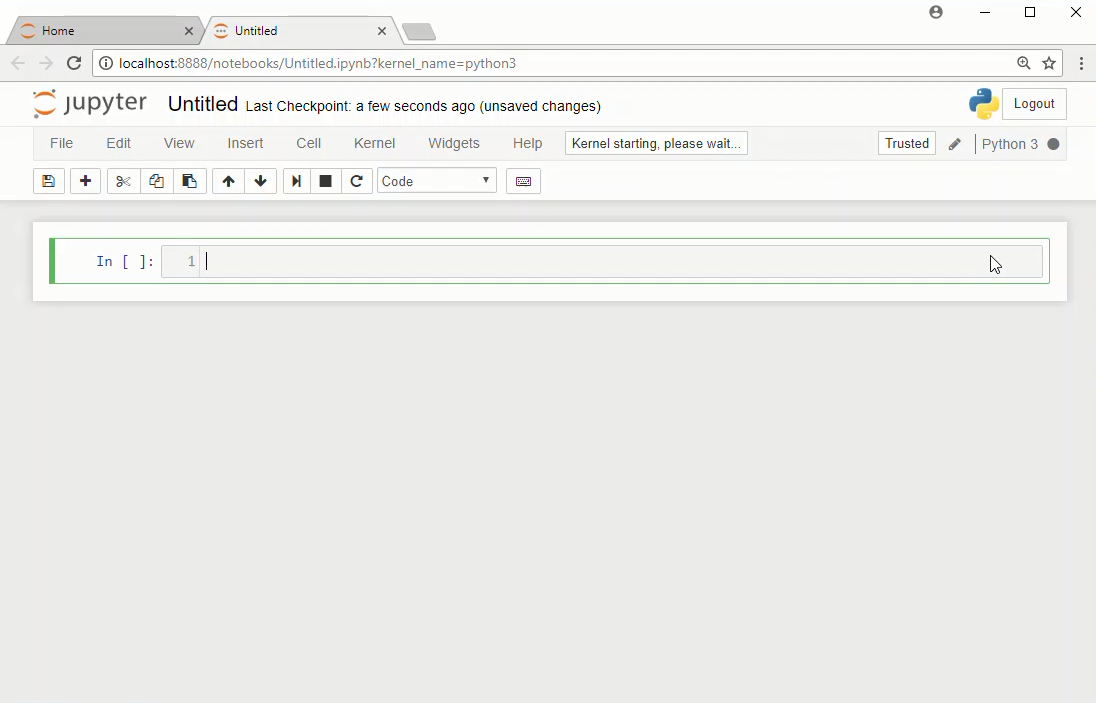 A newly opened Jupyter notebook