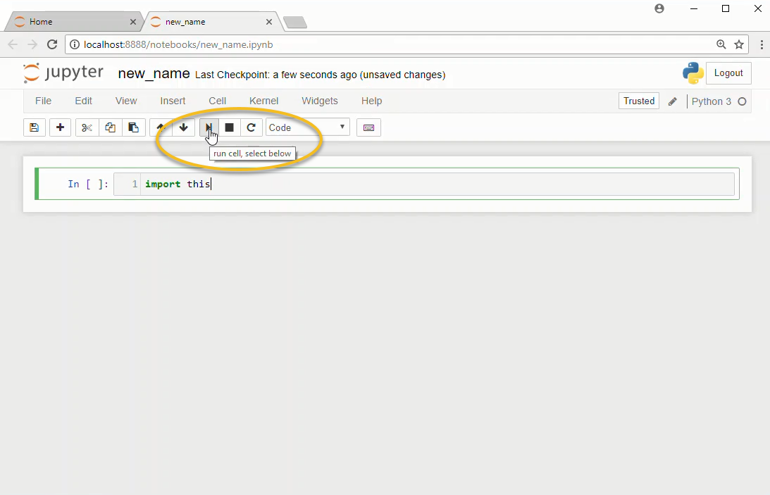 A Jupyter notebook running "import this". Note the run button is selected