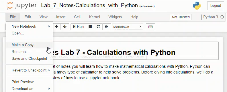 Jupyter notebook File menu. Make a Copy... is selected